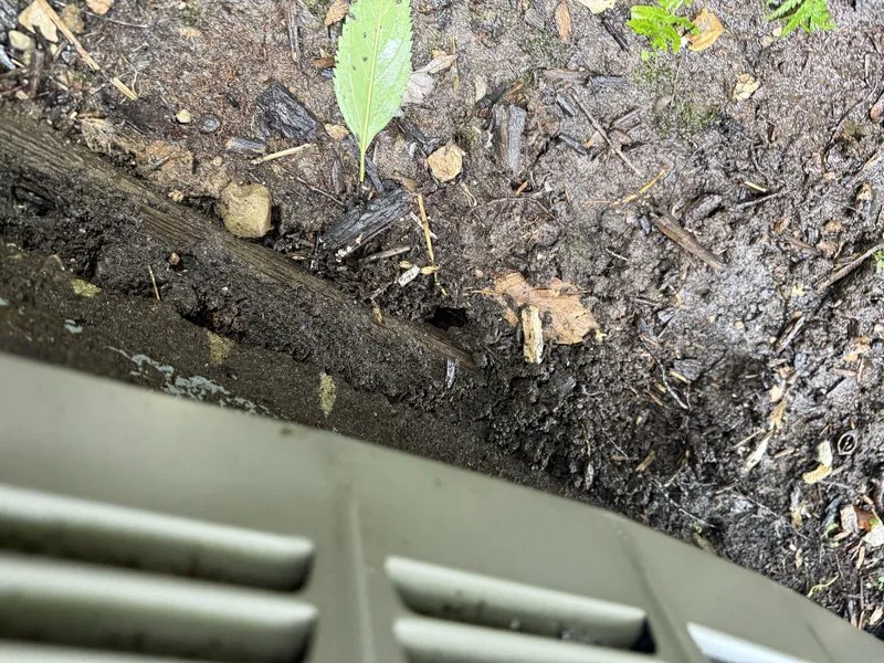 Mouse burrow outside a home - mice control in Delaware, Ohio - Pest Control PRO LLC
