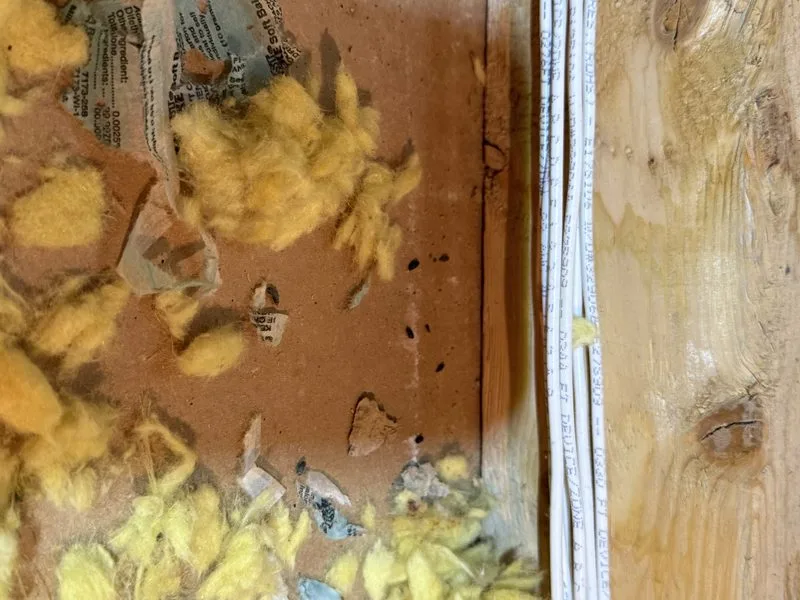 Mouse droppings found in an attic - mice control in Powell, Ohio - Pest Control PRO LLC