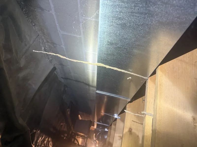 Termite mud tubes found - termites control in Plain City, Ohio - Pest Control PRO LLC