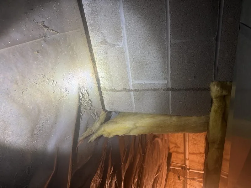 Termite damage to framing wood - termites control in Plain City, Ohio - Pest Control PRO LLC