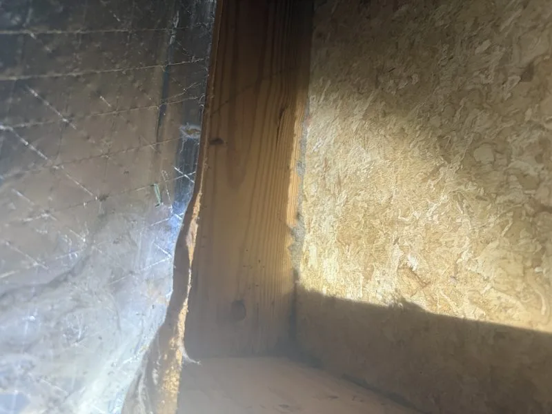 Termite activity found during an inspection - termites control in Dublin, Ohio - Pest Control PRO LLC