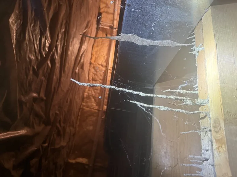 Termite treatment in progress on a home - termites control in Dublin, Ohio - Pest Control PRO LLC