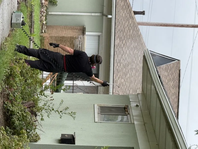 Wasp nest removed from a property - stinging insects control in Columbus, Ohio - Pest Control PRO LLC